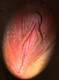 Foto privada de Ladybeta75