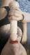 Foto privada de xxxshilaxxx
