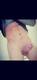 Foto Hot Muscoloso ♨️ 18y