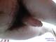 Foto privada de foreversex